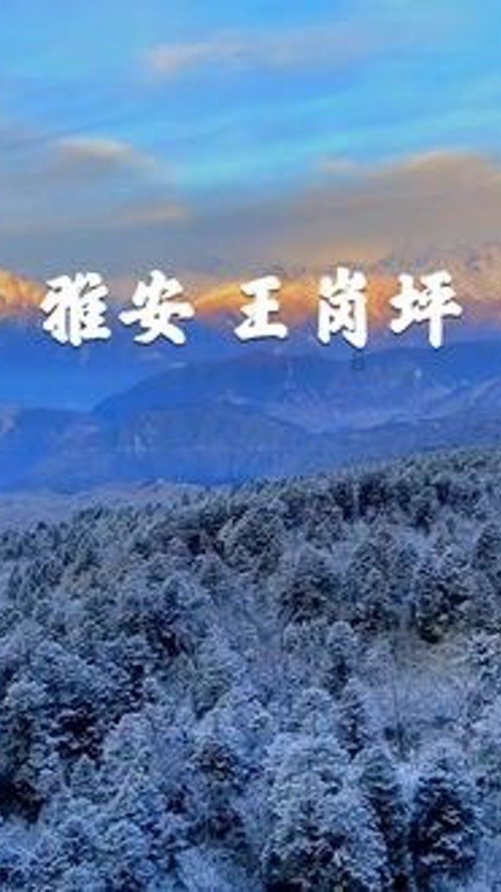 了解