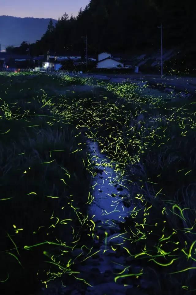 如何辨别不锈钢液氮罐与杜瓦罐