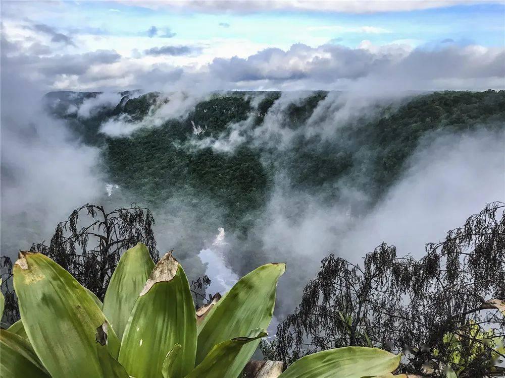 泰山队集训快结束了，拜合拉木会留在九牛，吴兴涵和费南多会留队