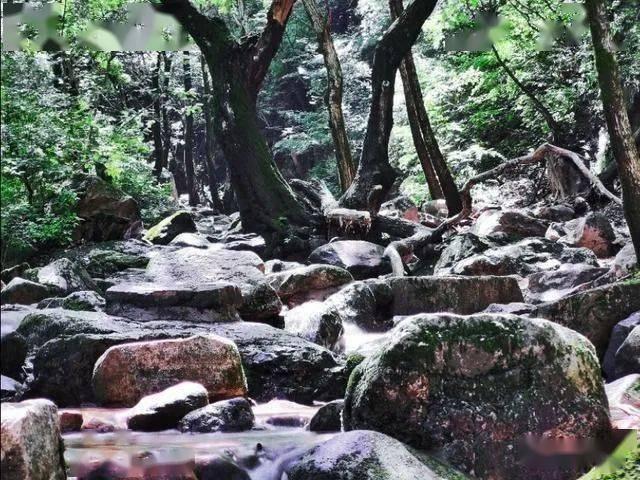 倾世一梦