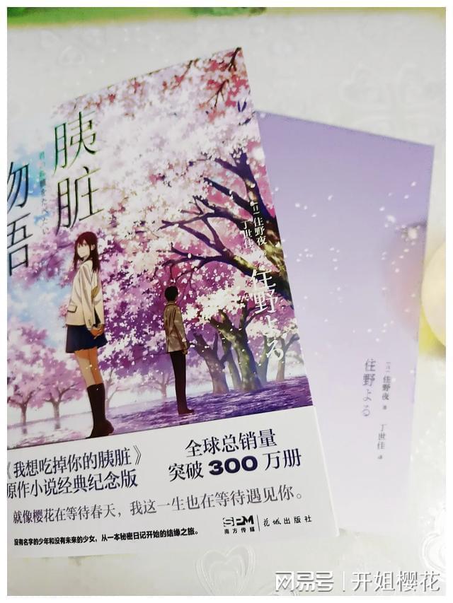天启联盟