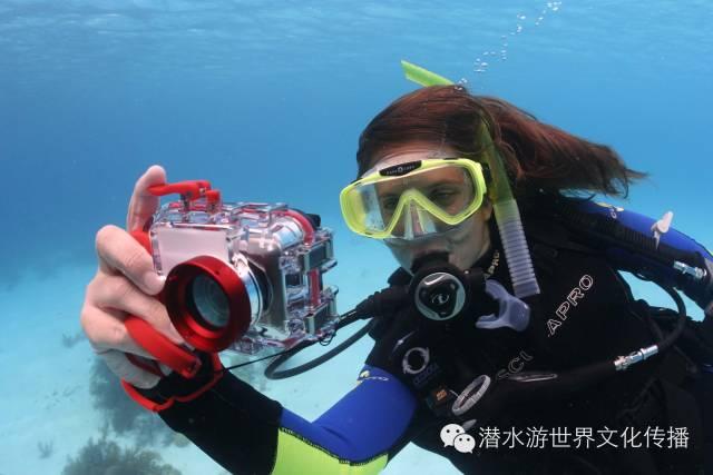 《猪猪侠大电影·海洋日记》获第十一届广东省鲁迅文学艺术奖