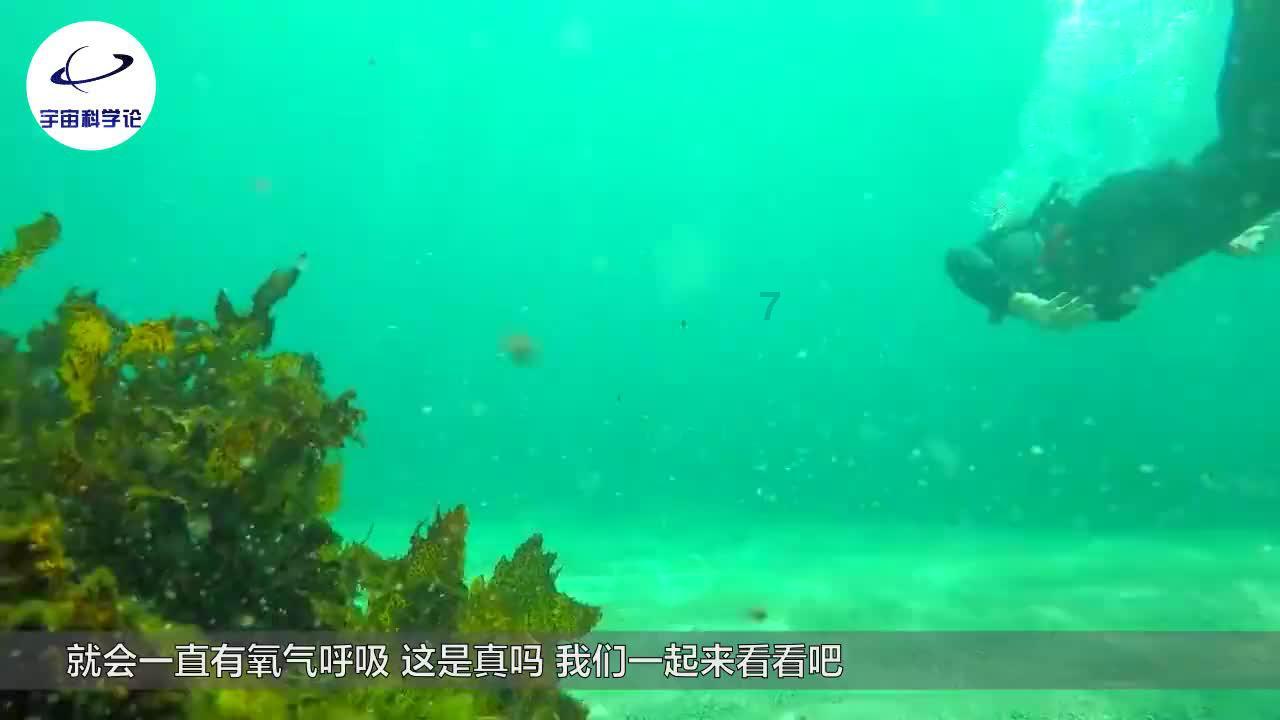 逃离童话城堡王