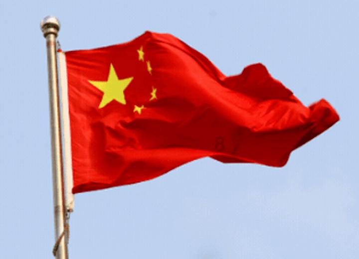 可怜猫的救援